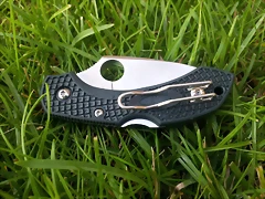 spyderco dragonfly 2 ZDP