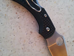 spyderco dragonfly 2 ZDP