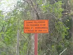 Monte Verde, Puntarenas, Costa Rica07
