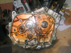DSCN0183 DSCN0183
