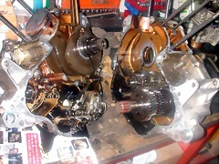 DSCN0184 DSCN0184
