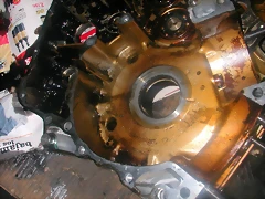 DSCN0193 DSCN0193