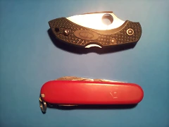 spyderco dragonfly 2 ZDP