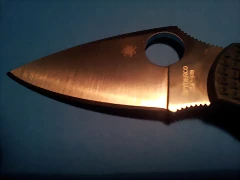 spyderco dragonfly 2 ZDP