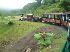 Monte Verde, Puntarenas, Costa Rica19