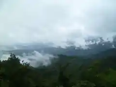 Monte Verde, Puntarenas, Costa Rica29