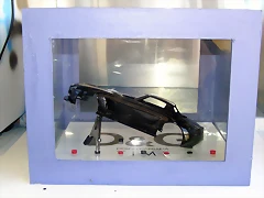 P1010010