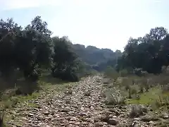 camino-de-piedras