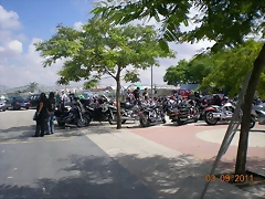 EL CUERVO 2011 066 EL CUERVO 2011 066