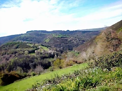 DSCN3978 DSCN3978