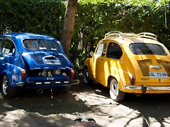 CAS_3531