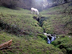 DSCN8174 DSCN8174