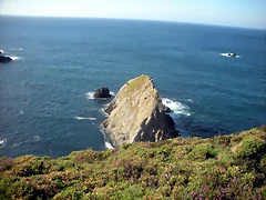 DSCN6867 DSCN6867