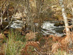 DSCN9386 DSCN9386