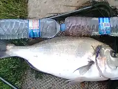 Mide dos botellas de agua