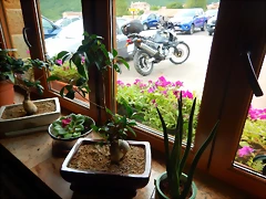 DSCN6843 DSCN6843