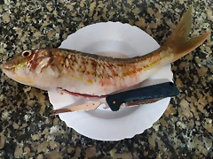 IMG_20201220_145431 IMG_20201220_145431