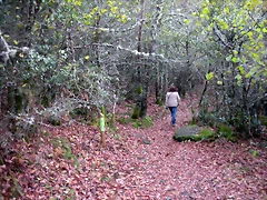 DSCN0647 DSCN0647
