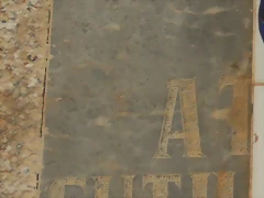 c. c.