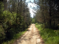 DSCN5313 DSCN5313
