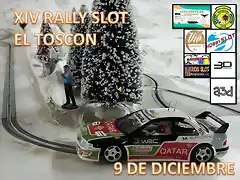 XIV RALLY EL TOSCON CARTEL