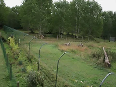 Le Parc des Felins agost 2010 933 Le Parc des Felins agost 2010 933