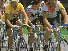 TOUR DE 1984 HINAULT-P JIMENEZ (2)