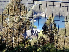 DSCN1644 DSCN1644