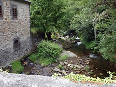 DSCN1585 DSCN1585