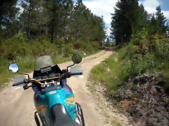 DSCN5332 DSCN5332
