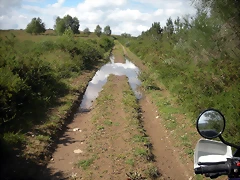 DSCN4203 DSCN4203