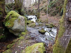 DSCN0126 DSCN0126