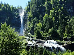 IMG_7218 IMG_7218