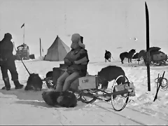 Tapi_Amundsen