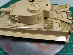 Tiger49