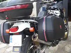 africa twin