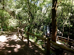DSCN2252 DSCN2252