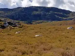 Desde Cenza a MatoAlto Cernado (19)