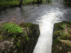 DSCN4179 DSCN4179