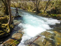 DSCN3818 DSCN3818
