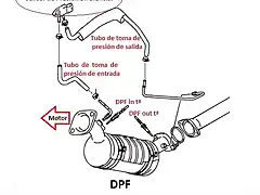 DPF NGV