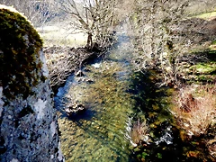 DSCN1658 DSCN1658
