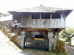 DSCN7011 DSCN7011