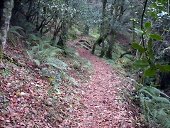 DSCN0766 DSCN0766