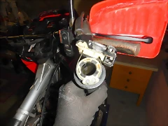 DSCN5919 DSCN5919
