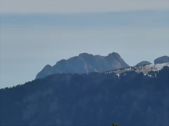P1010338