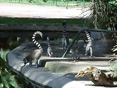 Zoológico 18-09-05 098 Zoológico 18-09-05 098