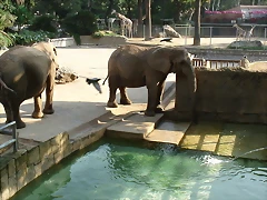 Zoológico 23-09-05 035 Zoológico 23-09-05 035