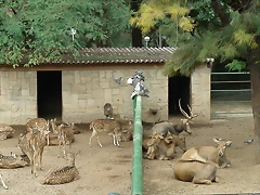 Zoológico 23-09-05 169 Zoológico 23-09-05 169