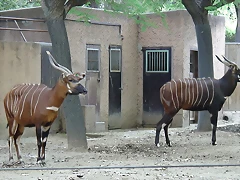Zoológico 23-09-05 172 Zoológico 23-09-05 172